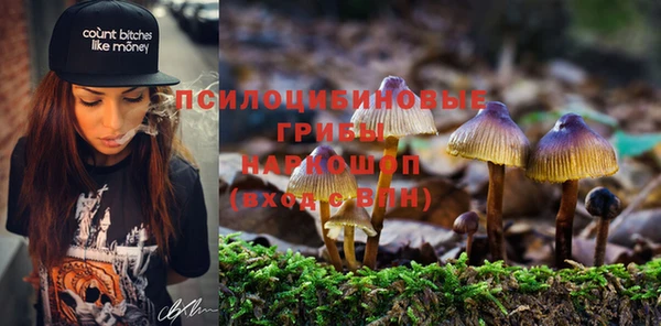 spice Арсеньев