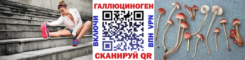 купить   мега как войти  Псилоцибиновые грибы MAGIC MUSHROOMS  Советская Гавань 